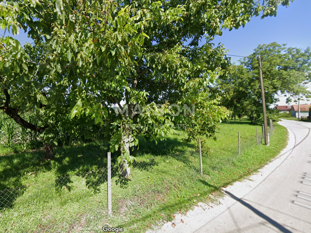 Image 6337564 - 1
