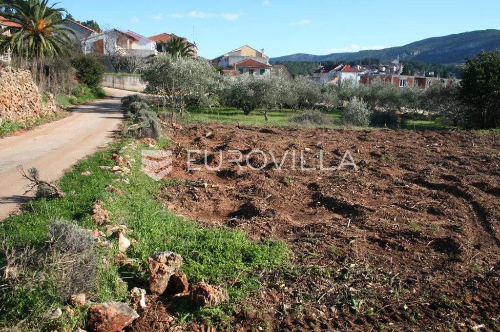 Image 6337600 - 3