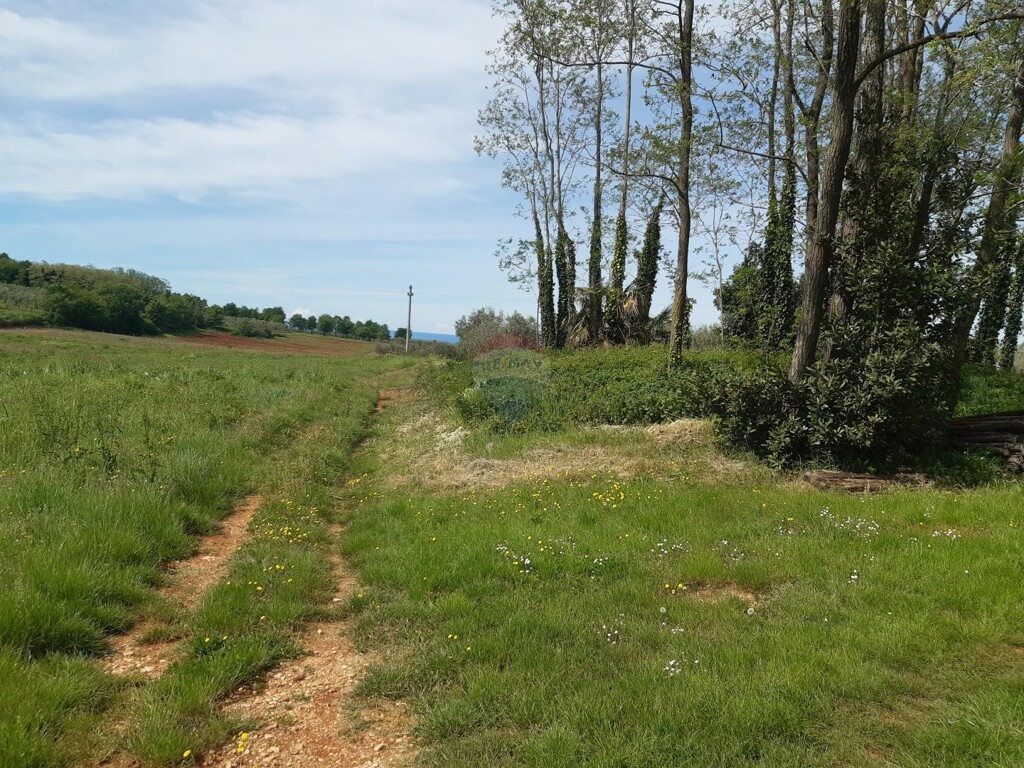 Image 6337622 - 3