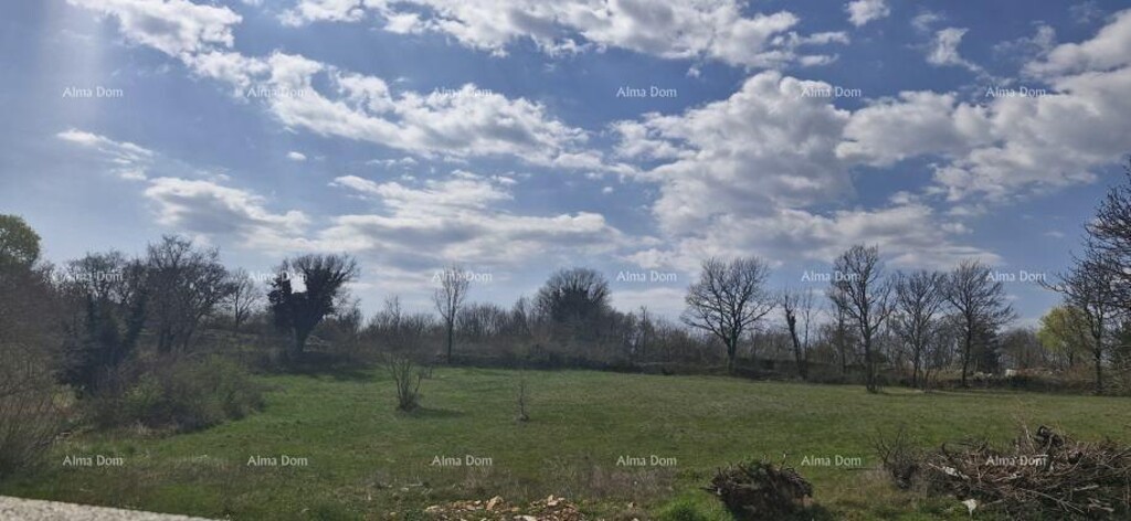 Image 6337871 - 1