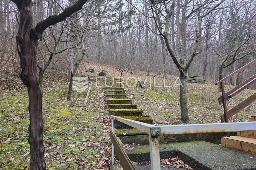 Image 6337913 - 6