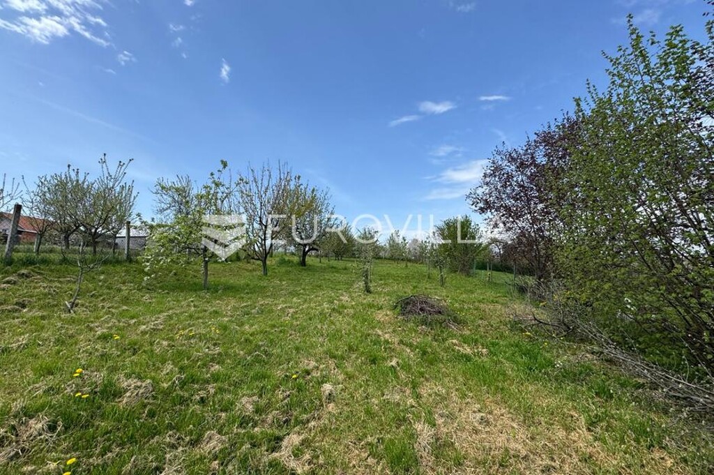 Image 6337945 - 16