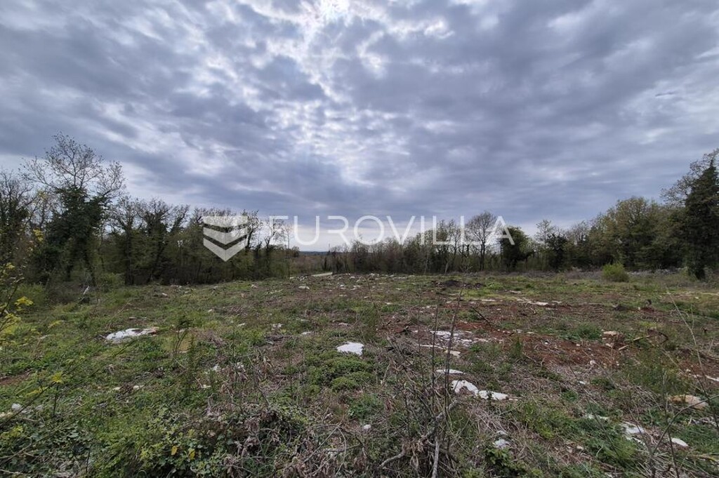 Image 6337957 - 1