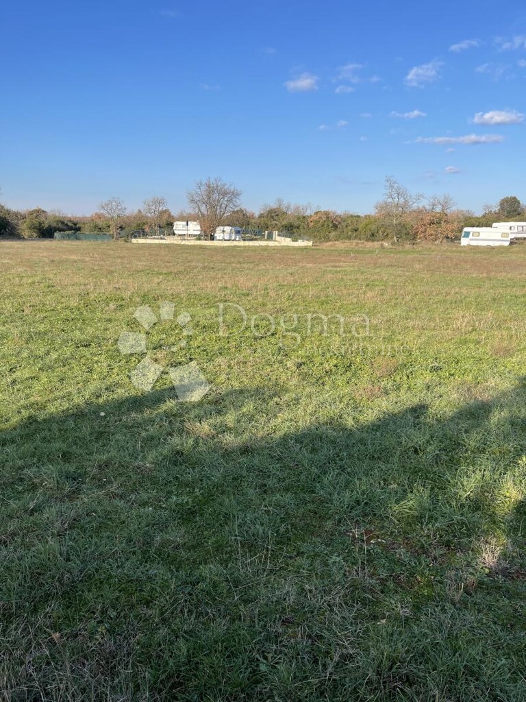 Image 6337965 - 3