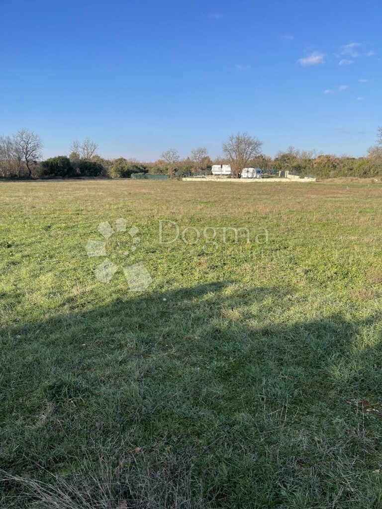 Image 6337965 - 2