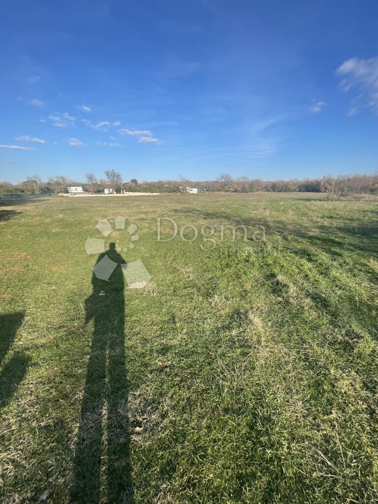 Image 6337965 - 4