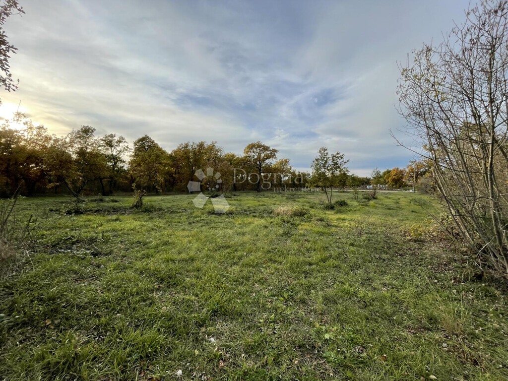 Image 6337971 - 1