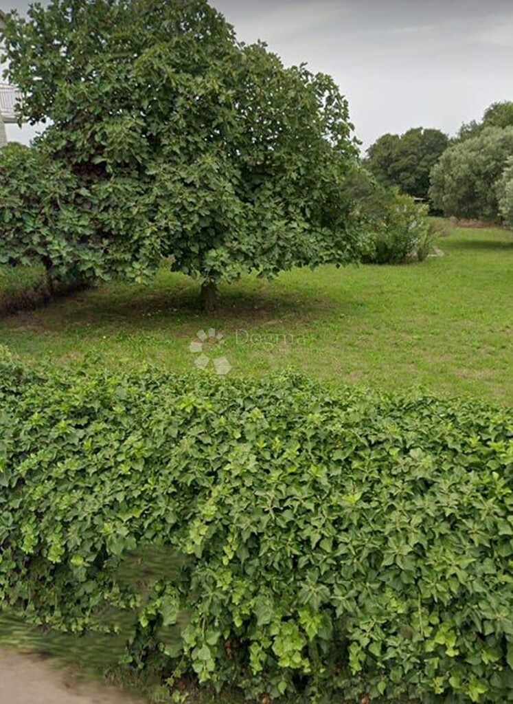 Image 6337972 - 1