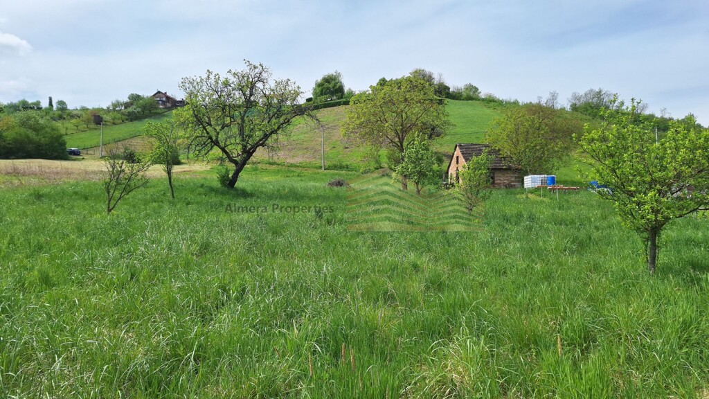 Image 6338090 - 1