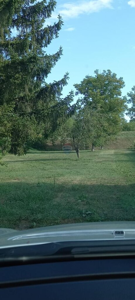 Image 6338103 - 10