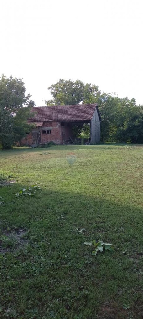 Image 6338103 - 6