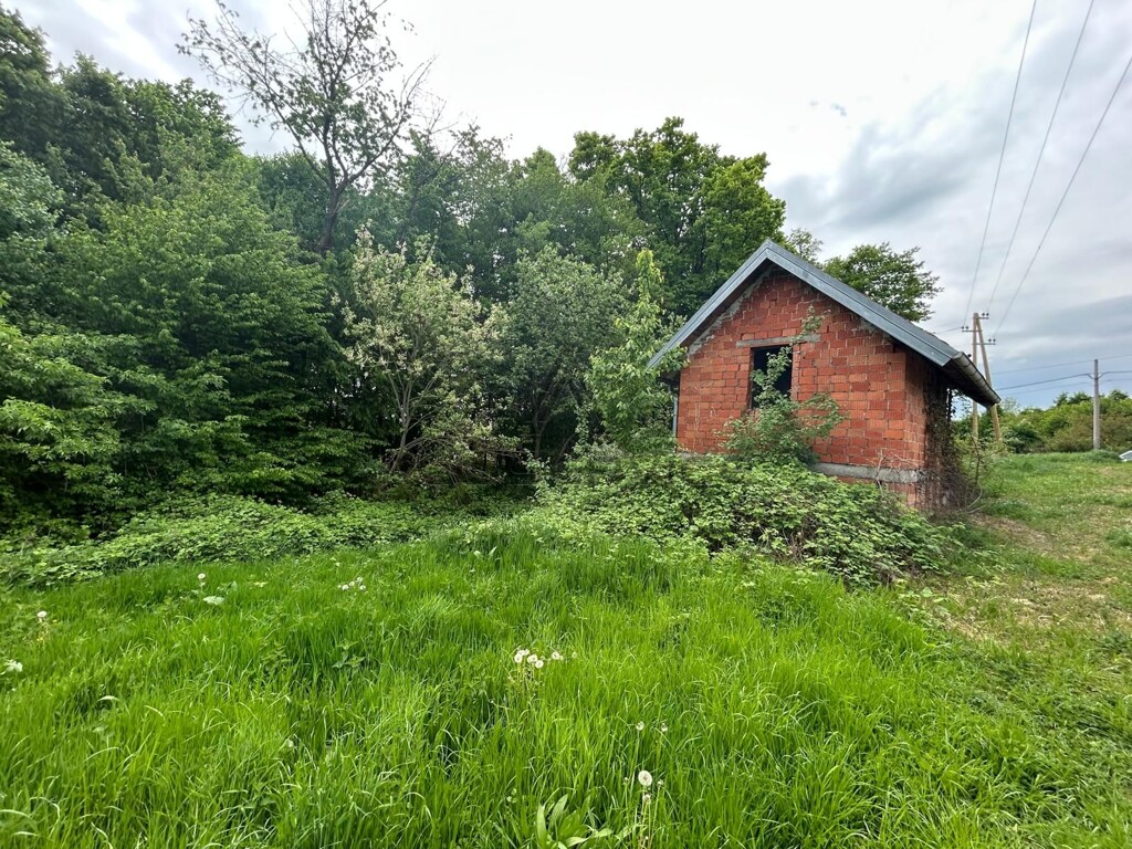 Image 6338217 - 1