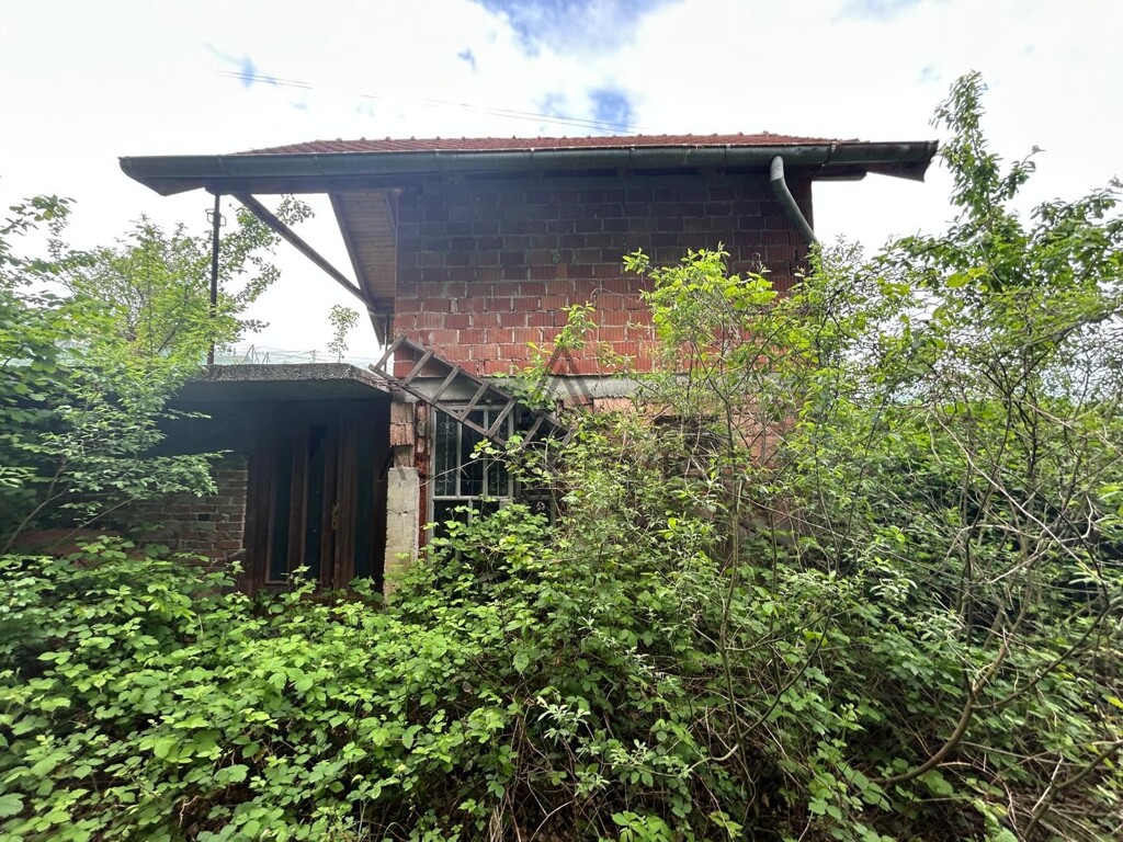 Image 6338217 - 3