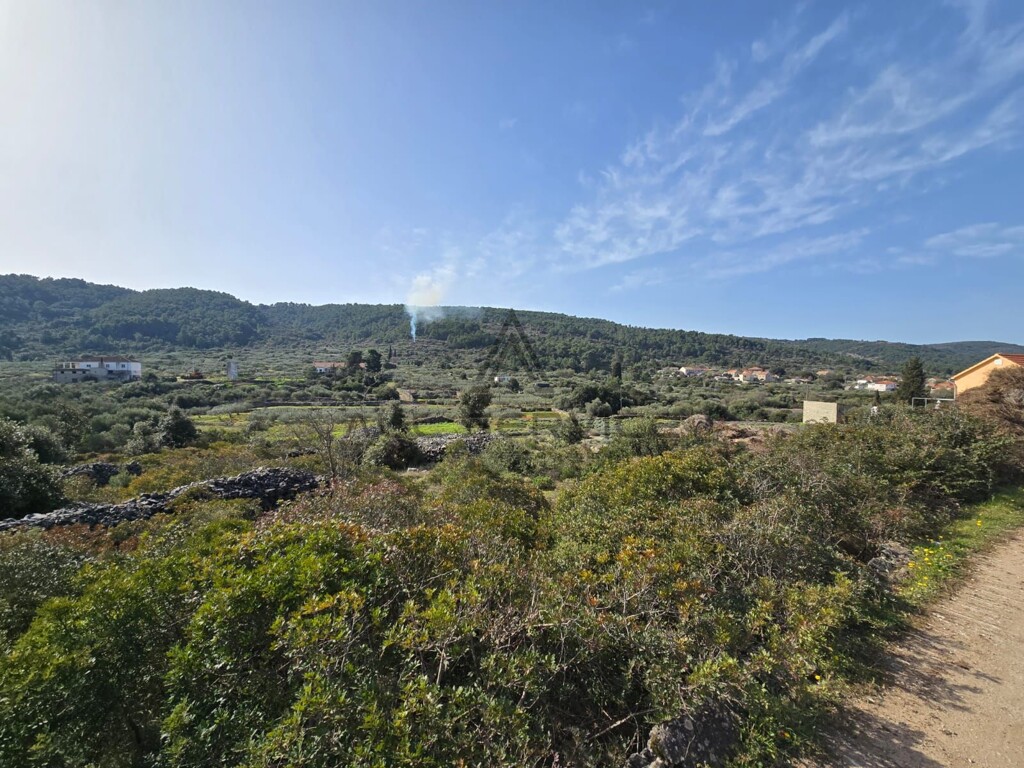 Image 6338245 - 1