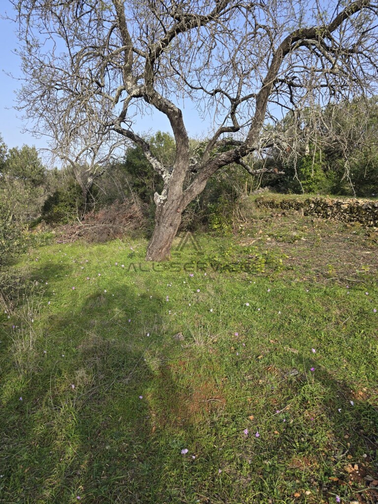 Image 6338247 - 4
