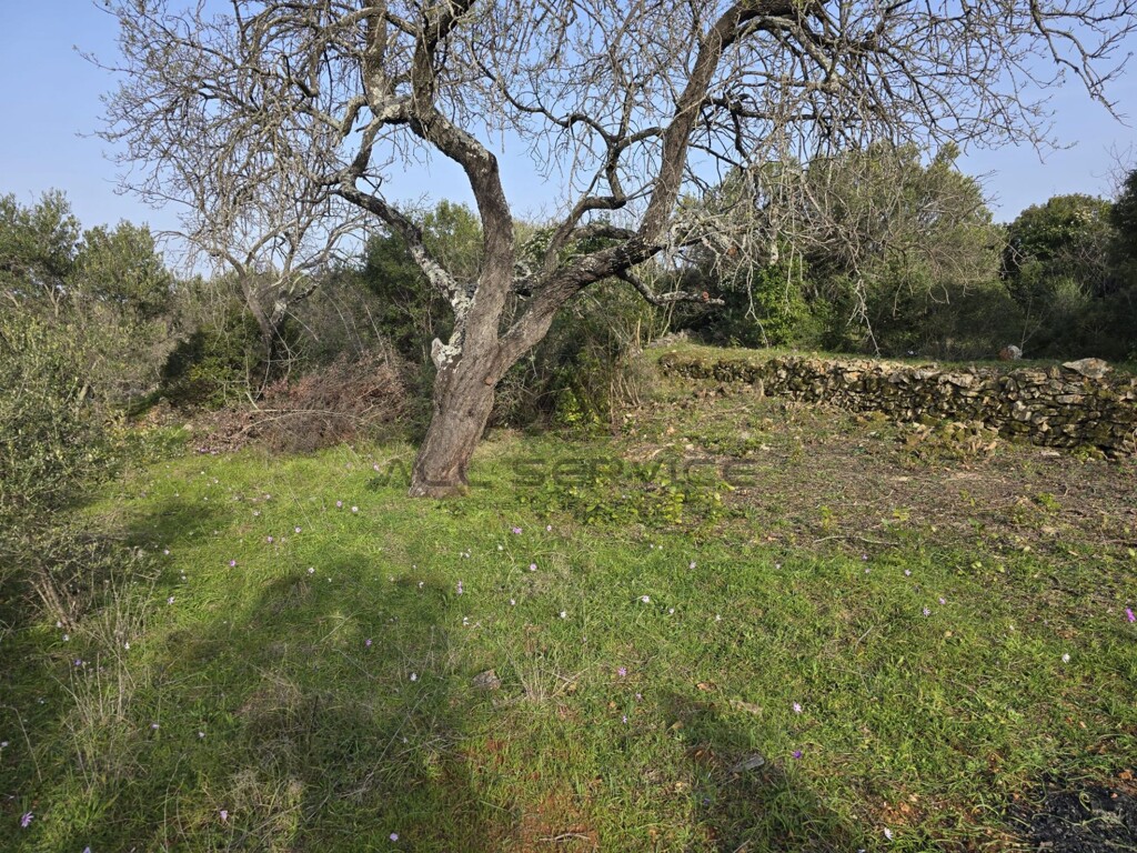 Image 6338247 - 3