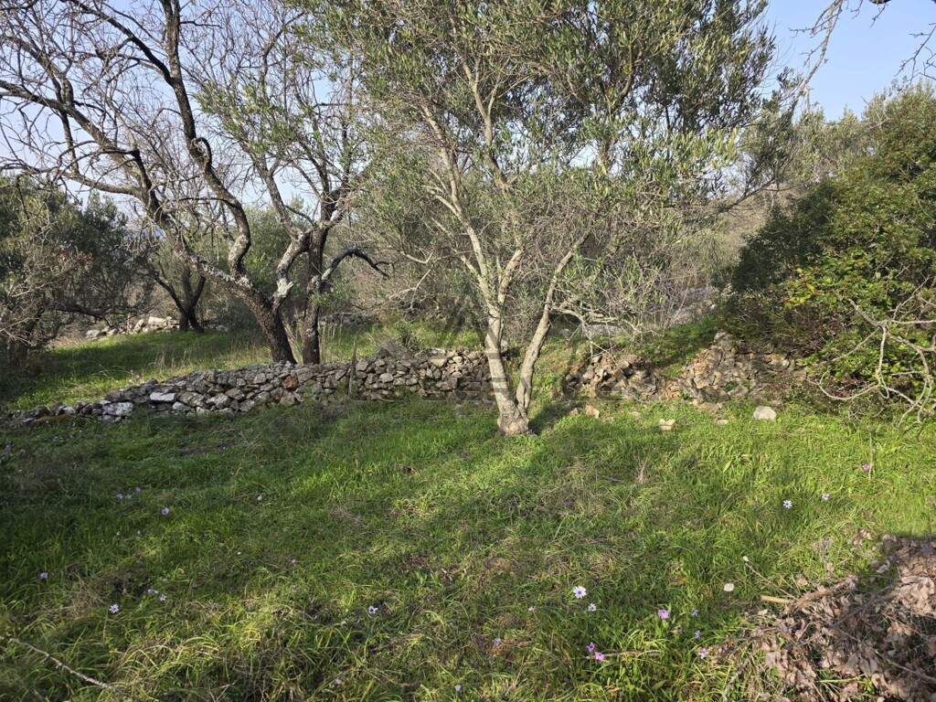 Image 6338247 - 2