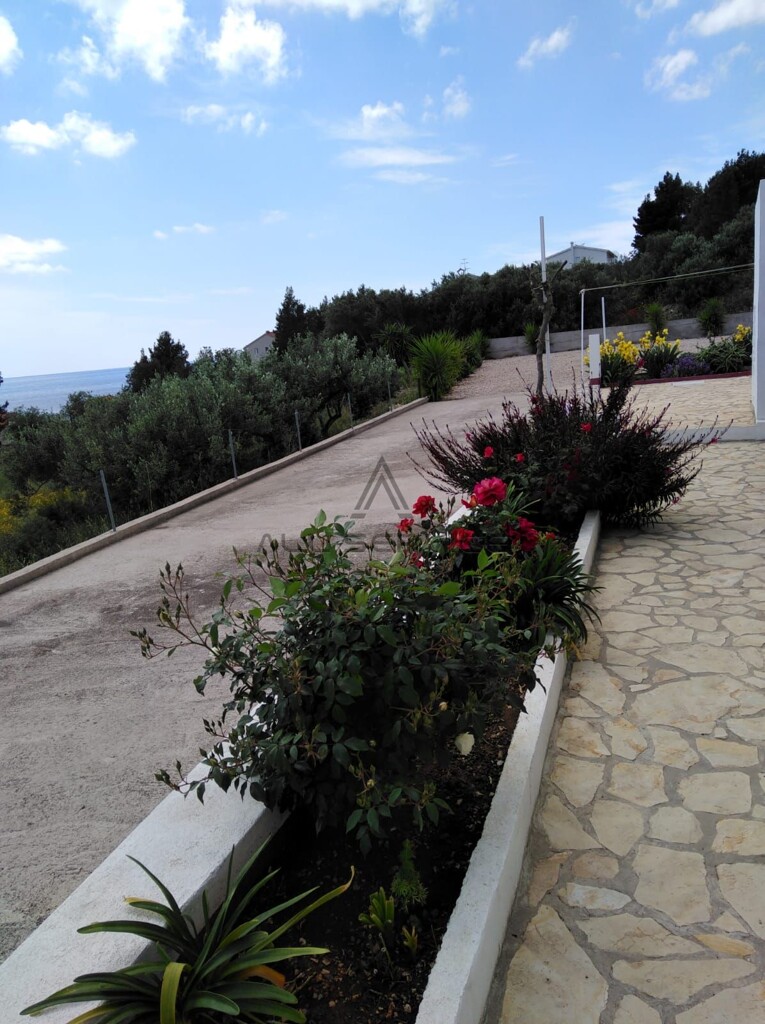 Image 6338259 - 13