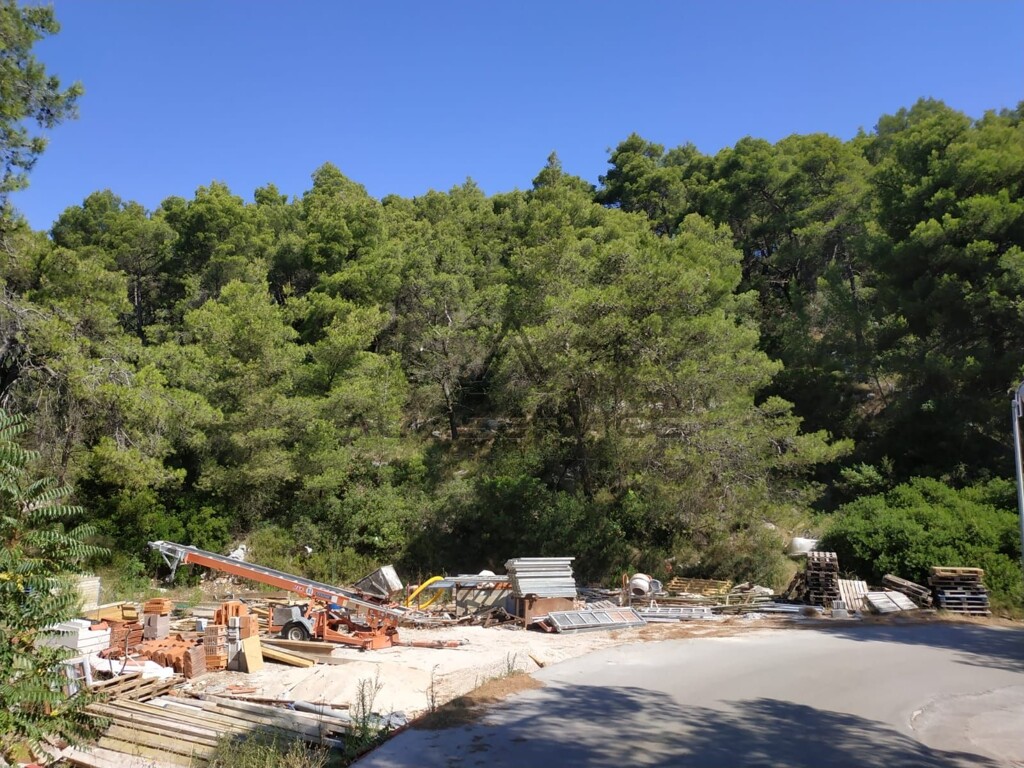 Image 6338262 - 1