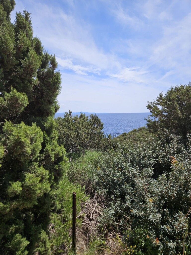 Image 6338263 - 1