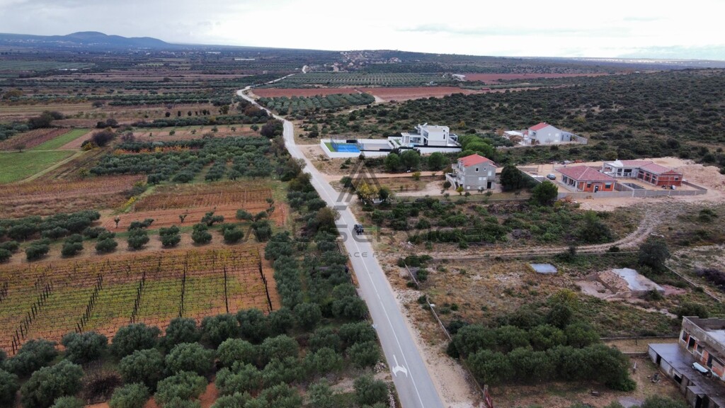 Image 6338295 - 3