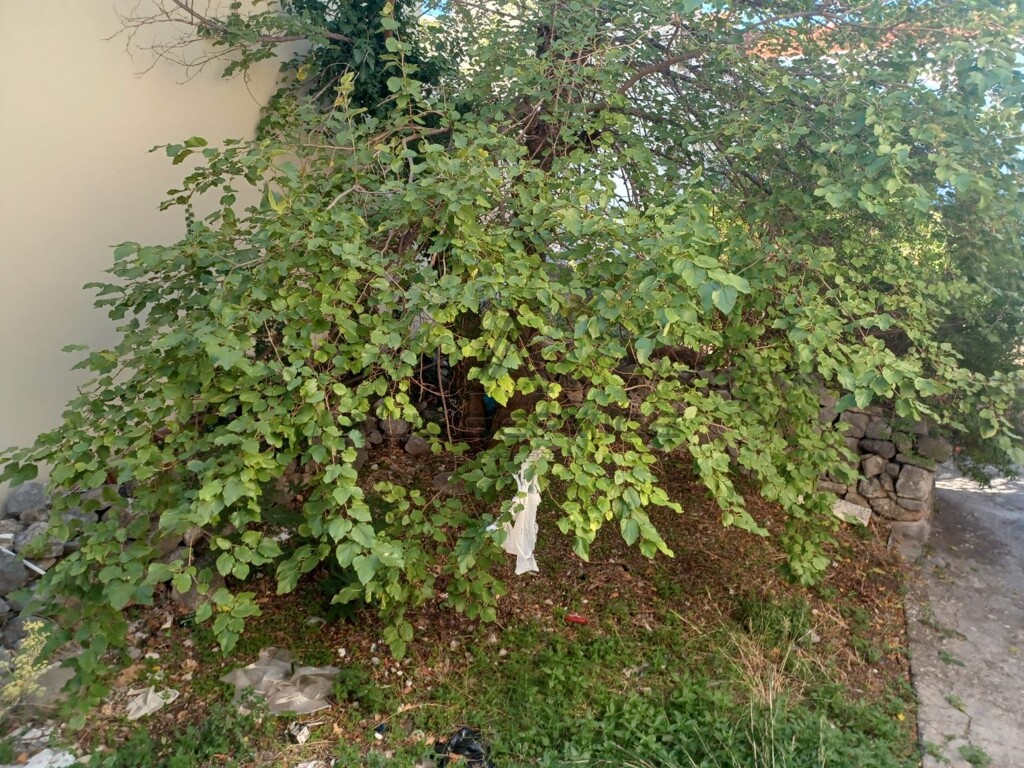 Image 6338311 - 10