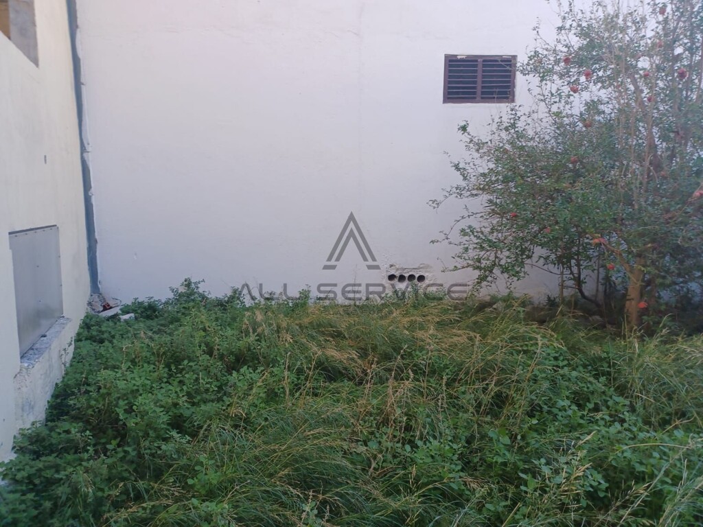 Image 6338311 - 6