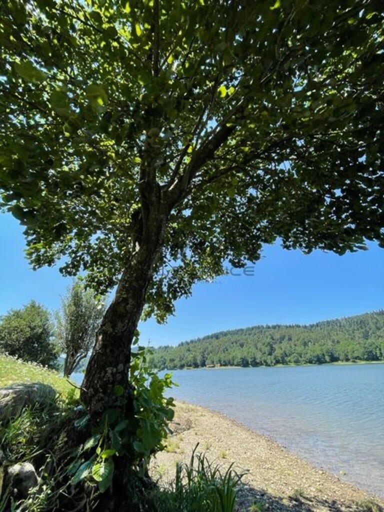 Image 6338342 - 11