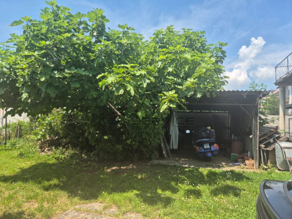 Image 6338383 - 6