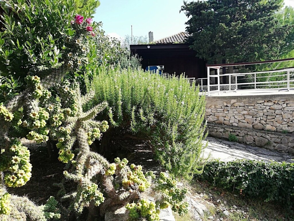 Image 6338400 - 10