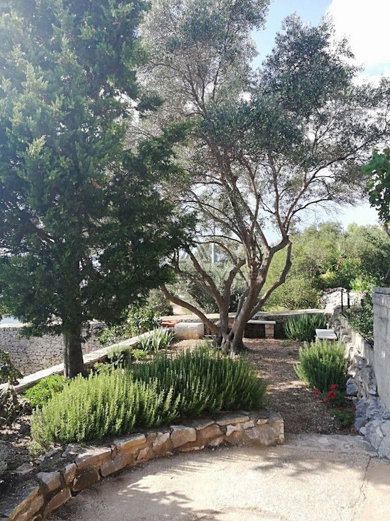 Image 6338400 - 6