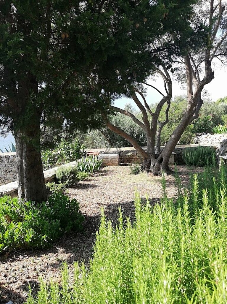 Image 6338400 - 7