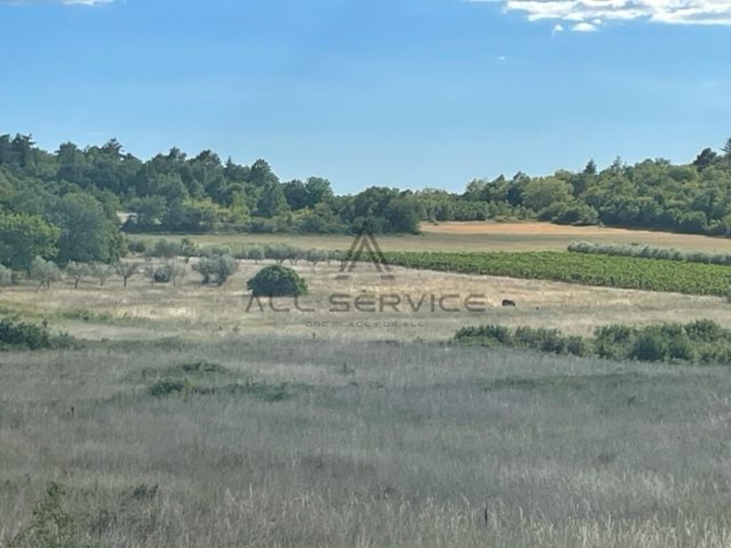 Image 6338420 - 5
