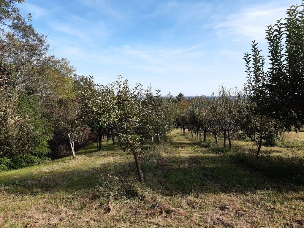 Image 6338429 - 3