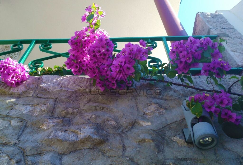 Image 6338430 - 14