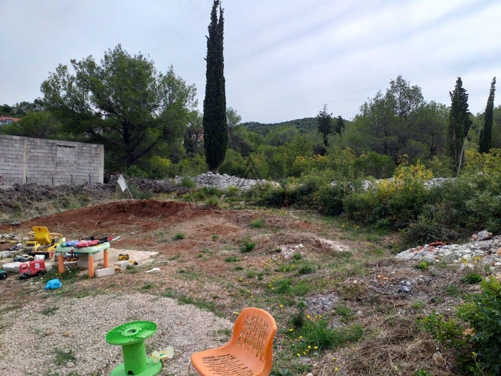 Image 6338439 - 1