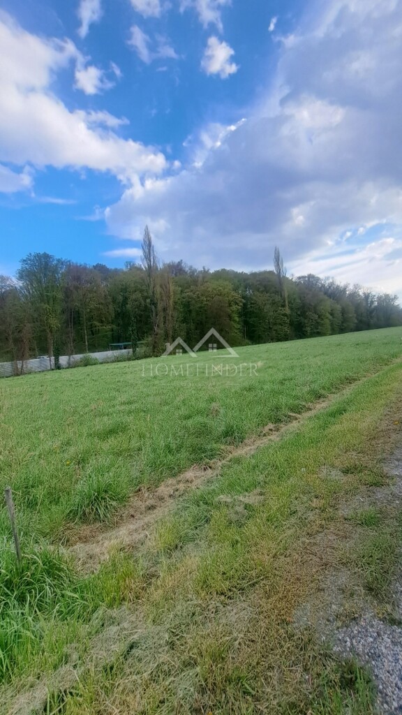 Image 6338450 - 3