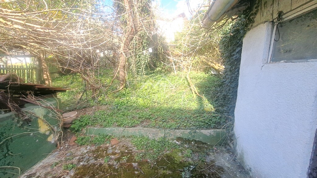 Image 6338474 - 10