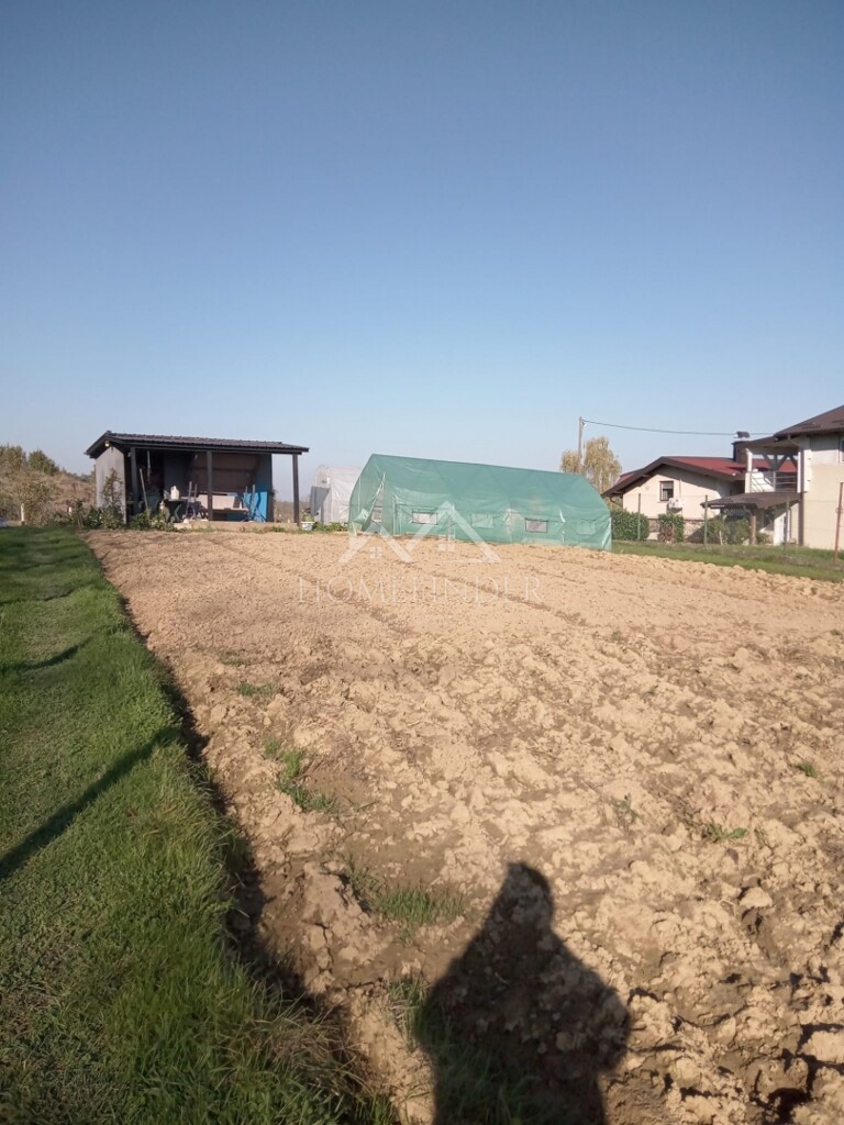 Image 6338476 - 1