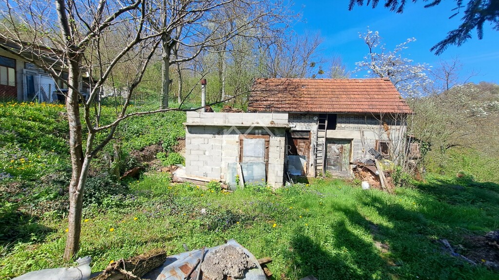 Image 6338480 - 4