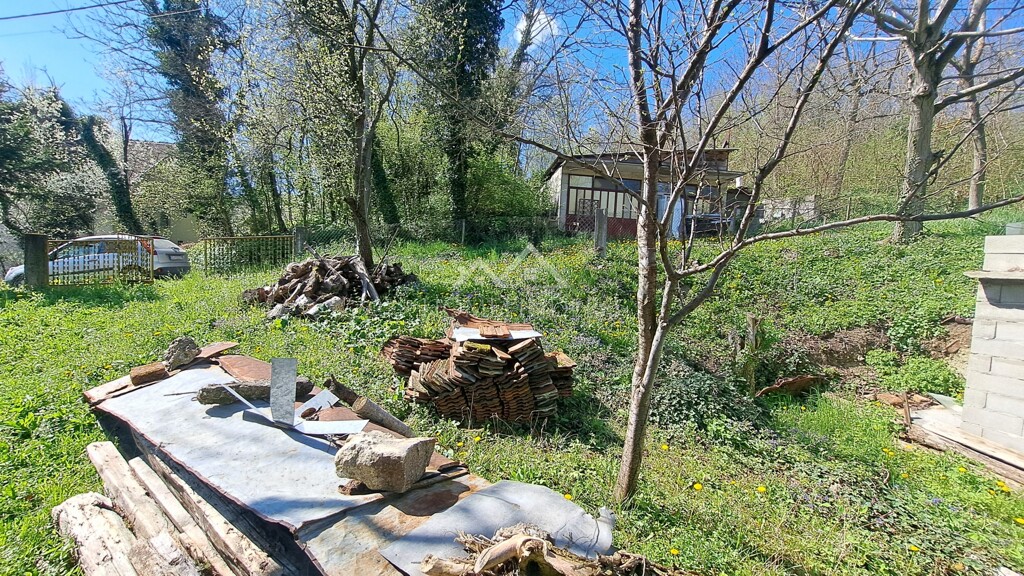 Image 6338480 - 3