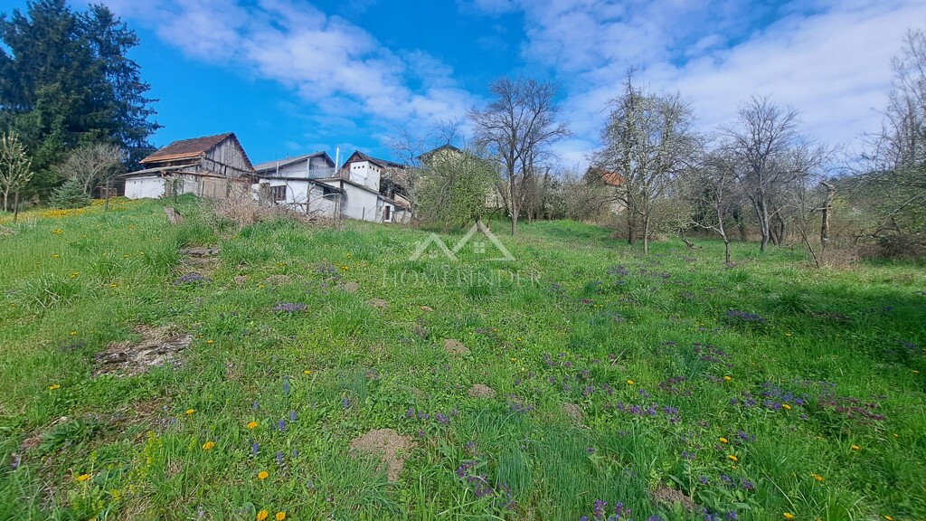 Image 6338483 - 2