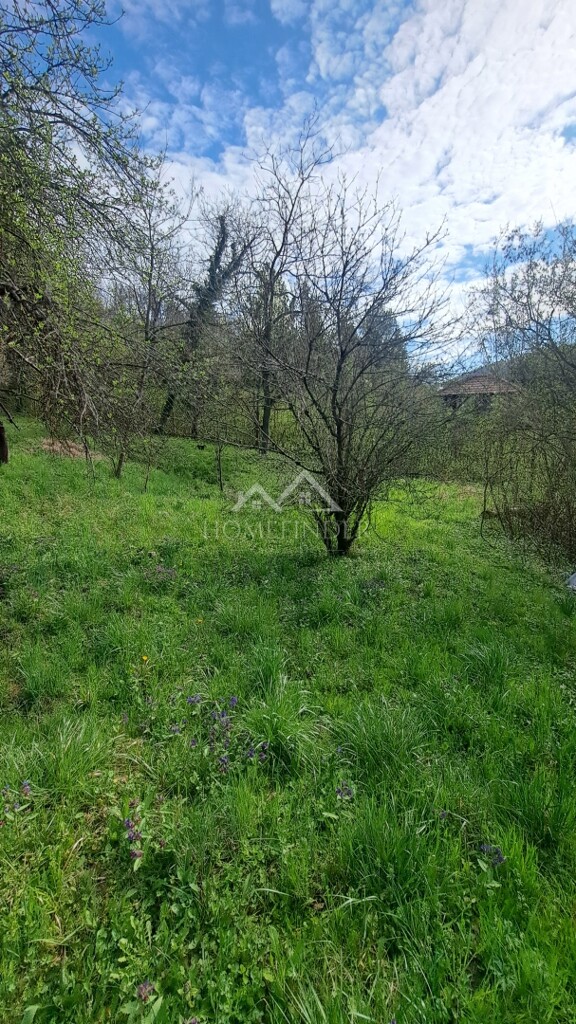 Image 6338483 - 5