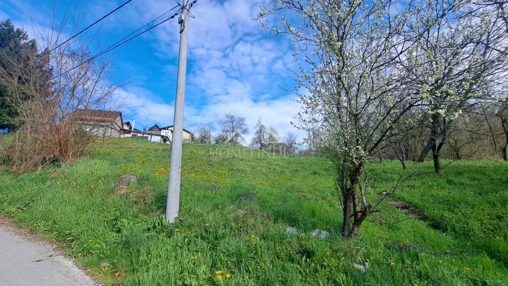 Image 6338483 - 1