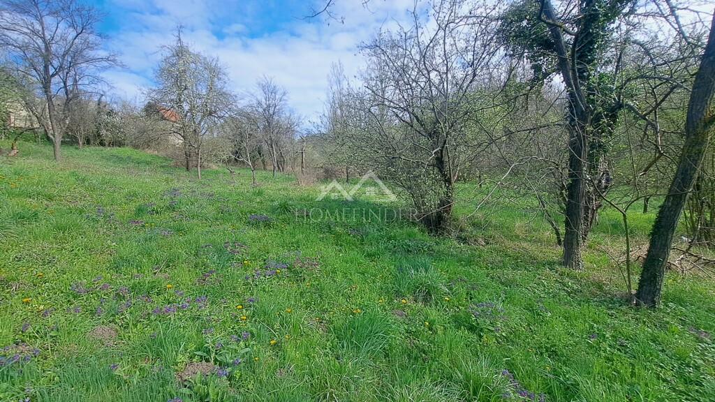 Image 6338483 - 3