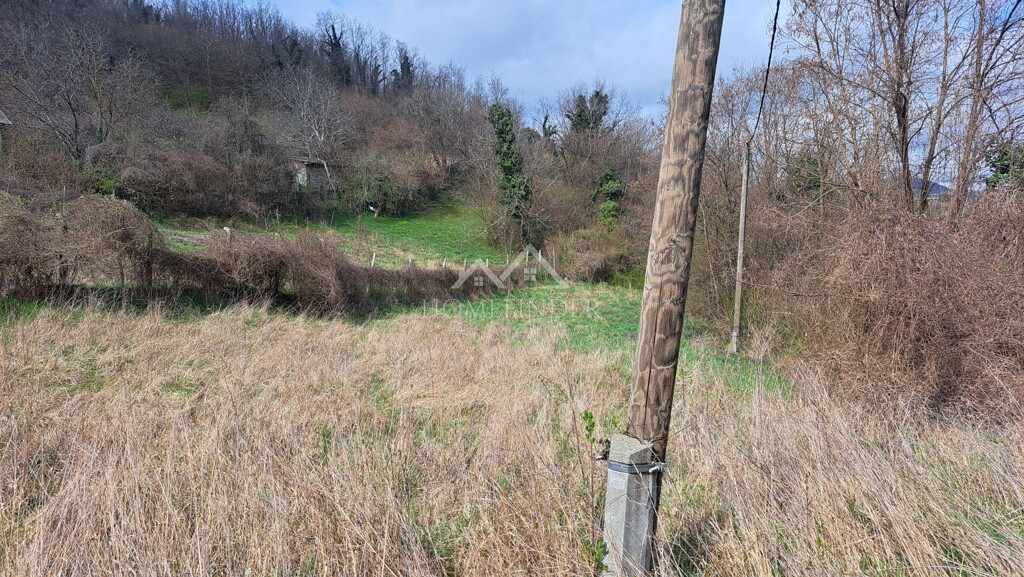 Image 6338505 - 6