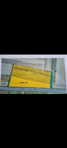 Thumbnail 6338525 - 1