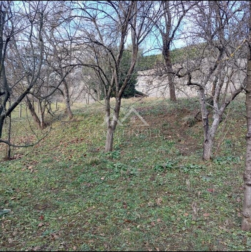 Image 6338580 - 10