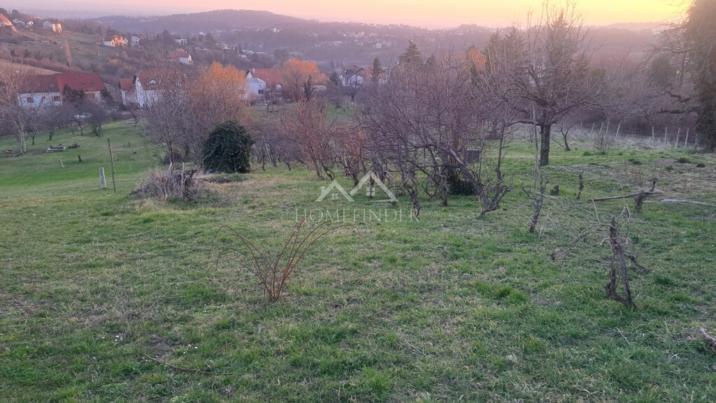 Image 6338586 - 2