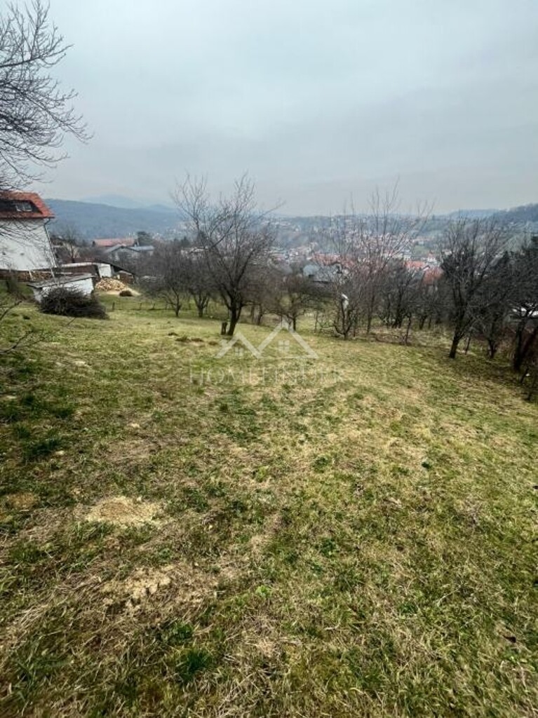 Image 6338607 - 1